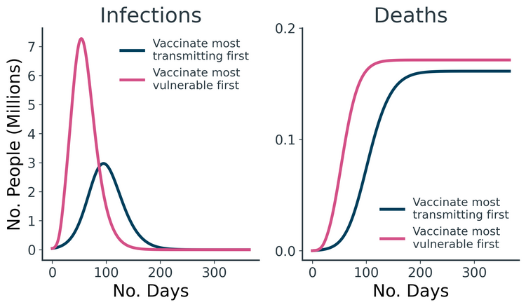 Could Vaccinating Young People Before Old People Save More Lives?